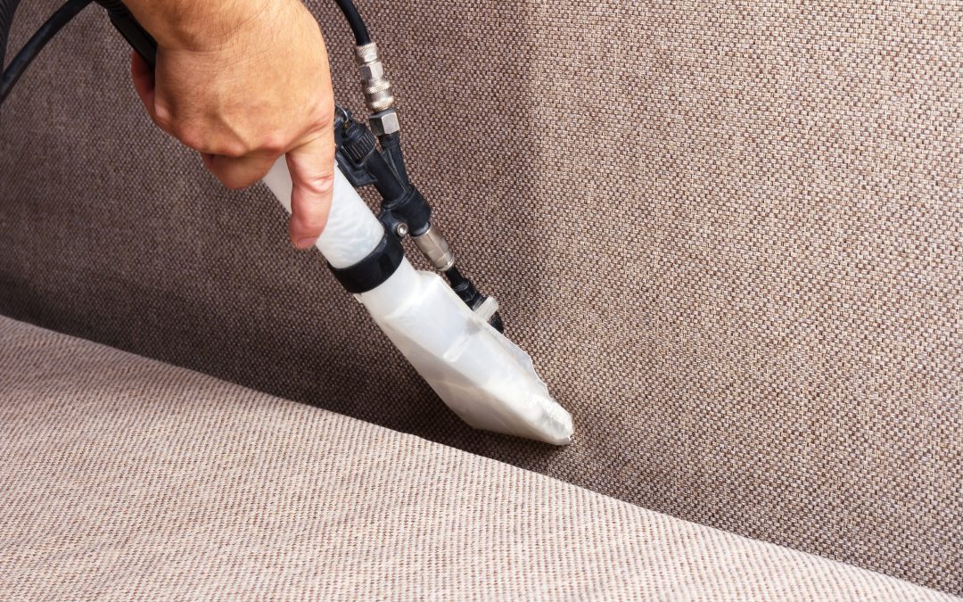 Experience a Healthier Home with Carpet Steam Cleaning Perth WA for Allergy Relief