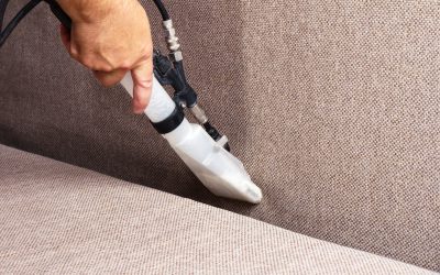 Experience a Healthier Home with Carpet Steam Cleaning Perth WA for Allergy Relief